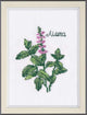 Mint 1184 Counted Cross Stitch Kit-0